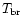 $T_{\rm {br}}$