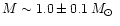 $M \sim 1.0\pm0.1 \mbox{\,$M_{\odot}$ }$