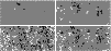 \begin{figure}
\par\includegraphics[width=8.8cm,clip]{H3304F5.eps} \end{figure}