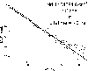 \begin{figure}
\par\includegraphics[width=8.8cm,clip]{fig2.eps}
\end{figure}