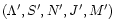 $(\Lambda',S',N',J',M')$