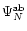$\Psi_N^{\rm ab}$