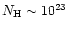 $N_{\rm H} \sim
10^{23}$
