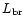 $L_{\rm br}$
