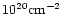 $10^{20}\rm {cm^{-2}}$