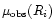 $\mu_{\rm obs}(R_i)$