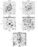 \begin{figure}\par\includegraphics[width=7.7cm,clip]{MS2163f1v.eps}\includegraph...
...\par\hspace*{4cm}
\includegraphics[width=7.7cm,clip]{MS2163f1z.eps}
\end{figure}