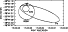 \begin{figure}
\par\includegraphics[width=\hsize]{h3472f2.eps}\end{figure}