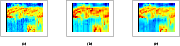 \begin{figure}
\par\subfigure[]{\includegraphics[width=4.2cm,clip]{fig8a.eps} }\...
....4cm}
\subfigure[]{\includegraphics[width=4.2cm,clip]{fig8c.eps} }%
\end{figure}