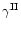 $\gamma ^{\rm II}$