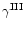 $\gamma ^{\rm III}$