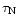 $\tau_{\rm N}$