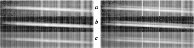 \begin{figure}
\par\includegraphics[width=17cm,clip]{MS2086_3.eps}
\end{figure}