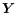 ${\vec Y}$