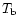 $T_{\rm b}$