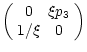$\displaystyle \left(\begin{array}{cc}
0 & \xi p_3 \\
1/\xi & 0
\end{array}\right)$
