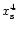 $x_{\rm s}^4$