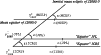 \begin{figure}
\par\includegraphics[width=8.8cm,clip]{MS2201f2.eps}\end{figure}