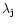 $ \lambda_{{\rm j}} $