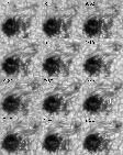 \begin{figure}
\par\includegraphics{h3426f5.eps} \end{figure}