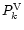 $P_k^{\rm V}$
