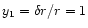 $y_1= \delta r / r= 1$