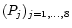 $(P_j)_{j=1,\dots,8}$
