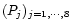$(P_j)_{j=1,\cdots,8}$