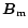 $\vec{B}_{\rm m}$