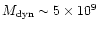 $M_{\rm dyn} \sim 5 \times 10^9$