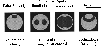 \begin{figure}
\par\includegraphics[width=8.8cm,clip]{fig4.eps}\end{figure}