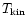 $T_{\rm kin}$