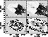 \begin{figure}
\par\resizebox{\hsize}{!}{\includegraphics{H3038F8.ps}}\end{figure}