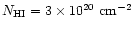 $N_{\rm HI}=3 \times 10^{20}~{\rm cm^{-2}}$