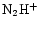 $\rm N_2H^{+}$