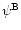 $\psi^{\rm B}$