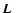 $\mbox{\boldmath$L$ }$