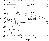 \begin{figure}
\par\includegraphics[width=8.8cm,clip]{2983f4.eps}\end{figure}