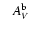 $~~~A_V^{\rm b}$
