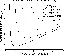 \begin{figure}
\par\includegraphics[width=7.5cm,clip]{aa1566f1.eps}
\end{figure}