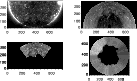 \begin{figure}
\par\mbox{\includegraphics[width=7.5cm]{ms2177_Fig3_1.eps}\hspace...
...space{1cm}
\includegraphics[width=7.5cm]{ms2177_Fig3_4.eps} }\par\end{figure}