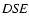 ${\it DSE}$