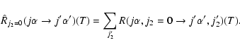 \begin{displaymath}\hat{R}_{j_2=0}(j\alpha \rightarrow j'\alpha')(T) = \sum_{j'_2}
R(j\alpha, j_2=0 \rightarrow j'\alpha', j'_2)(T).
\end{displaymath}