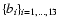 $\{b_i\}_{i=1,\dots,13}$