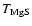$T_{\rm MgS}$