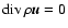 $\mathop{\rm div}\nolimits\rho\vec{u} = 0$