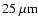 $\rm {25~\mu m}$