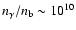$n_\gamma/n_{\rm b}\sim10^{10}$