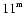 $\mbox{\rm 11}^{\mbox{\rm\tiny m}}$
