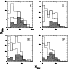 \begin{figure}
\par\resizebox{\hsize}{!}{\includegraphics{focardifig10.ps}}\end{figure}